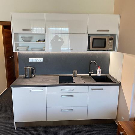 Apartmany Wellness Frymburk Dış mekan fotoğraf